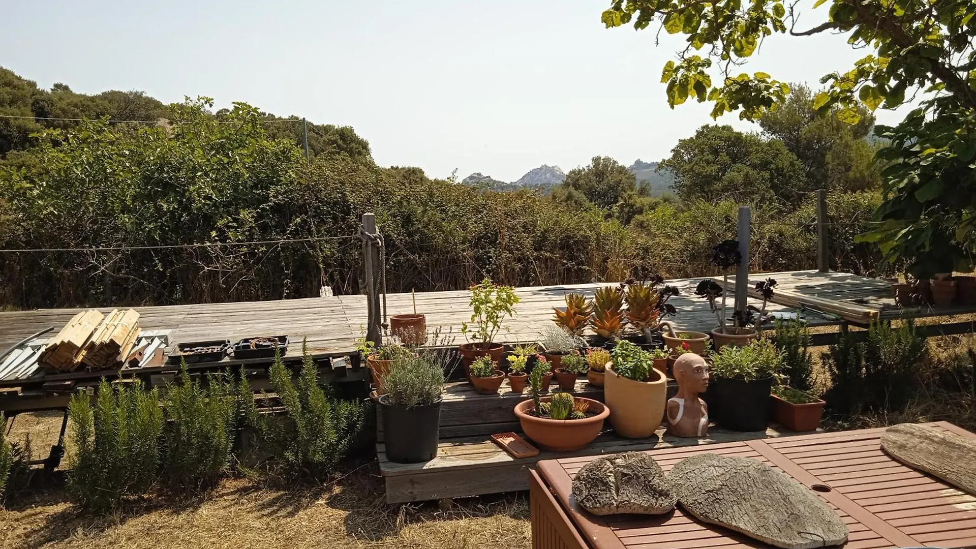 Bed and Breakfast Lo Stazzo Aggius